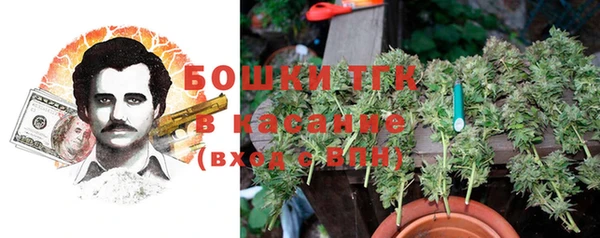дживик Вяземский