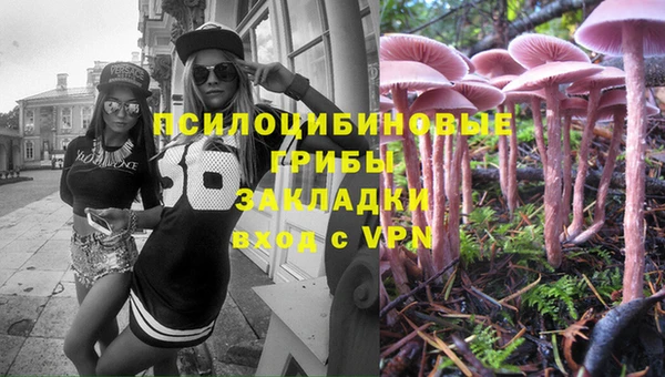 эйфоретик Вязьма