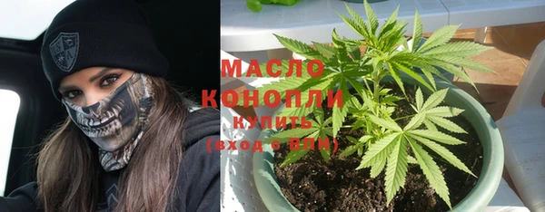 дживик Вяземский